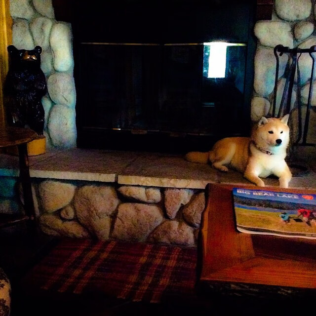 2025世俱杯赛程-C罗续约利雅得胜利，继续征战沙特联赛，c罗续约合同