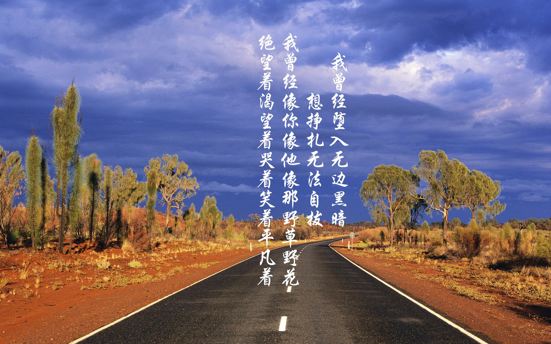 -_全球各地举办特色网球节，推广全民运动_，网球推广活动方案