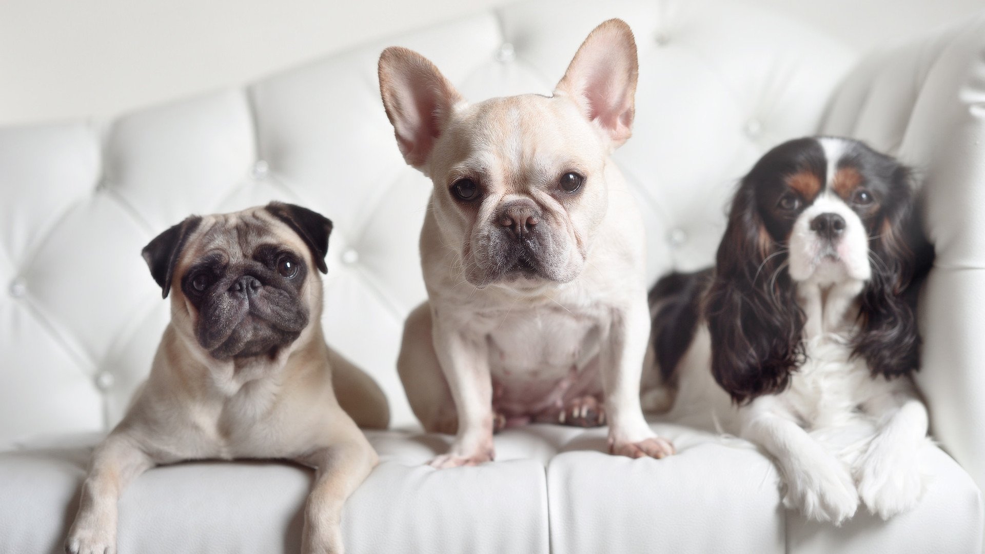 2025世俱杯赛程表-《全球电竞市场份额：亚洲领跑，欧洲紧随其后》，全球电竞产业交易额