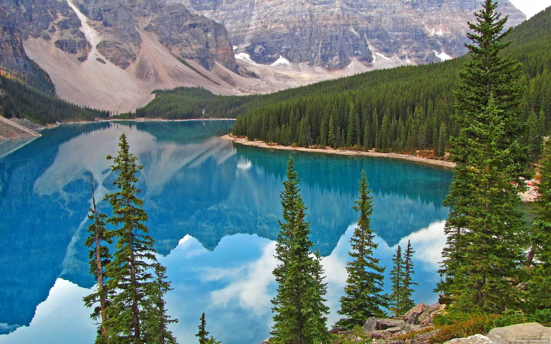 世俱杯直播在线观看免费-伊朗骑手卡尔·阿里·阿尔达比在巴黎奥运会后成为马术协会主席，推动马术运动发展。