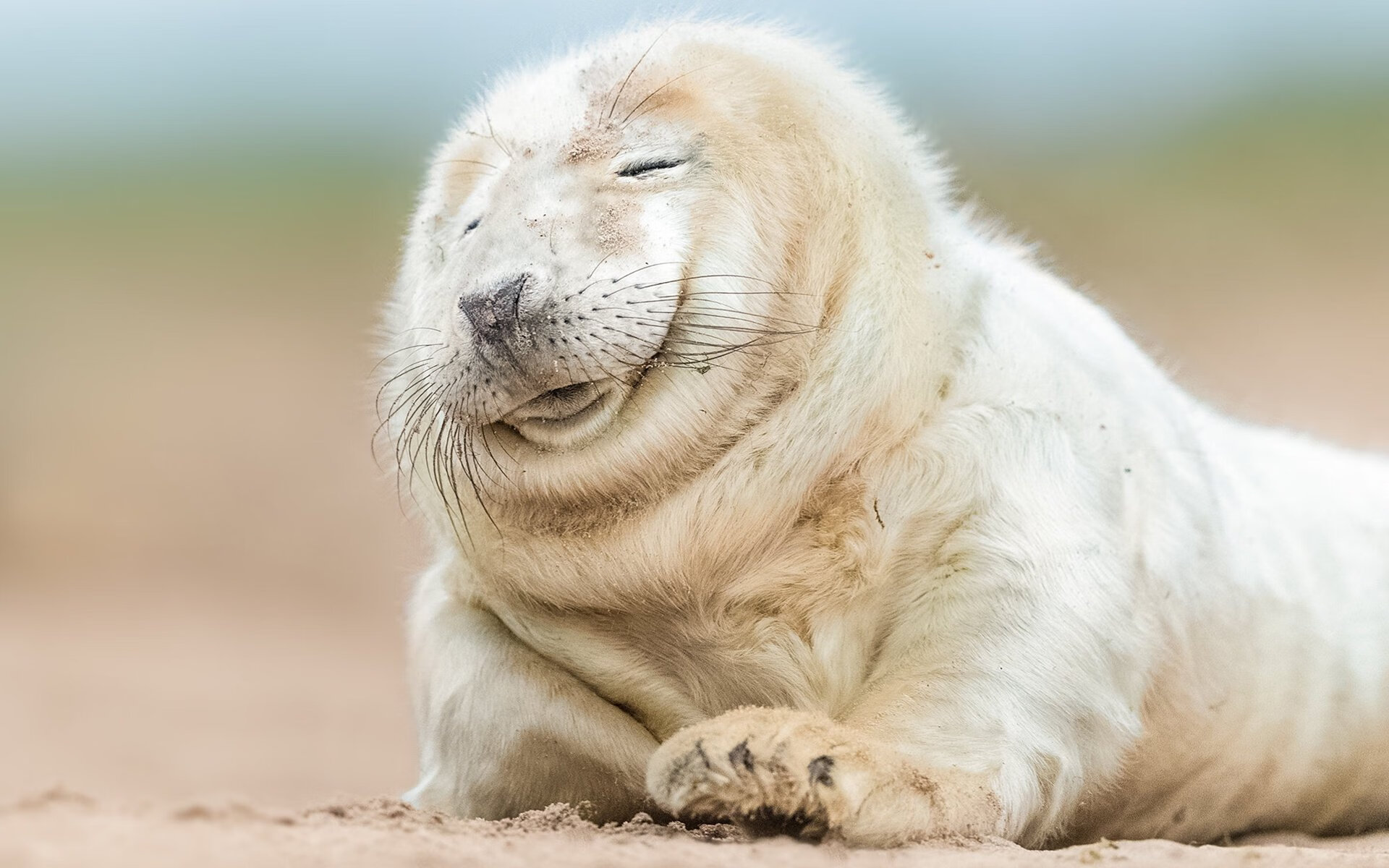 世俱杯-上海久事球队技术细节不断优化，上海久事篮球队赛程